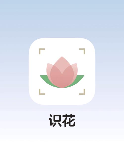 花开app下载安装截图