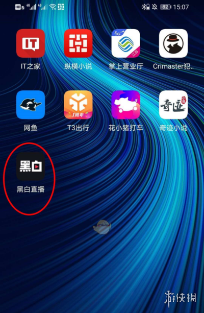 黑白视频直播下载地址