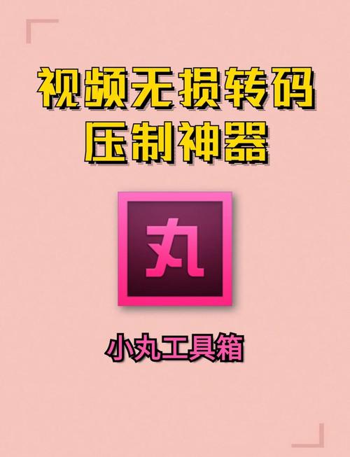 丸子直播软件截图