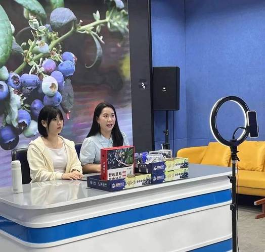 蓝莓直播视频版截图