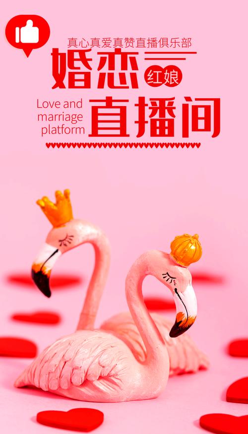 红妆视频直播官网