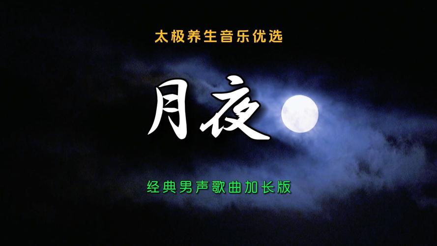 月夜视频下载地址