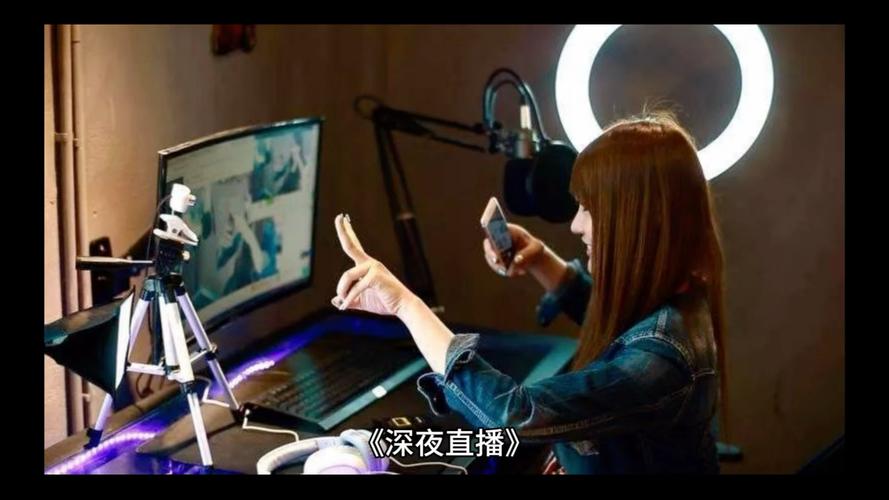 深夜b站直播视频下载