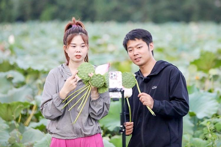 荷花直播视频大全