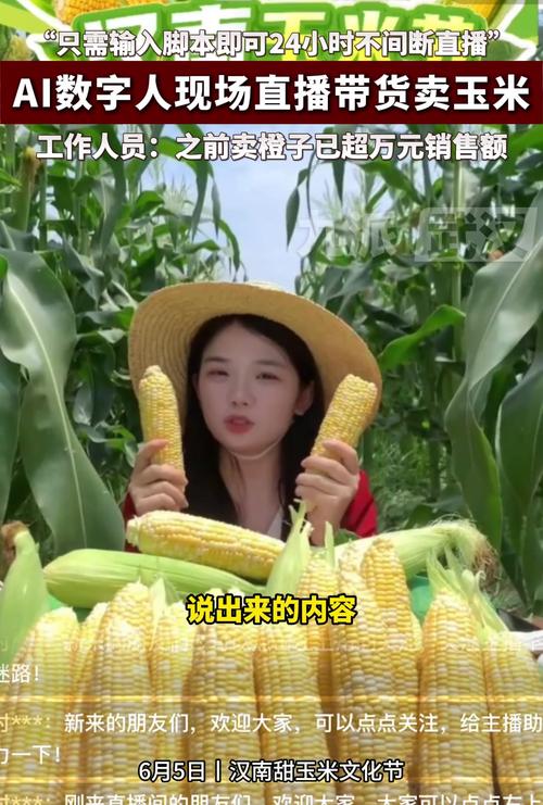 玉米直播视频下载免费