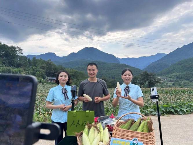 玉米直播视频下载安装