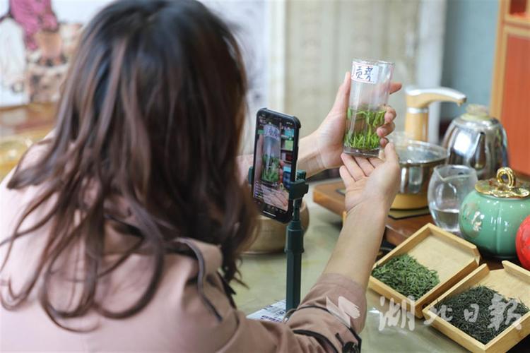 新茶视频直播下载