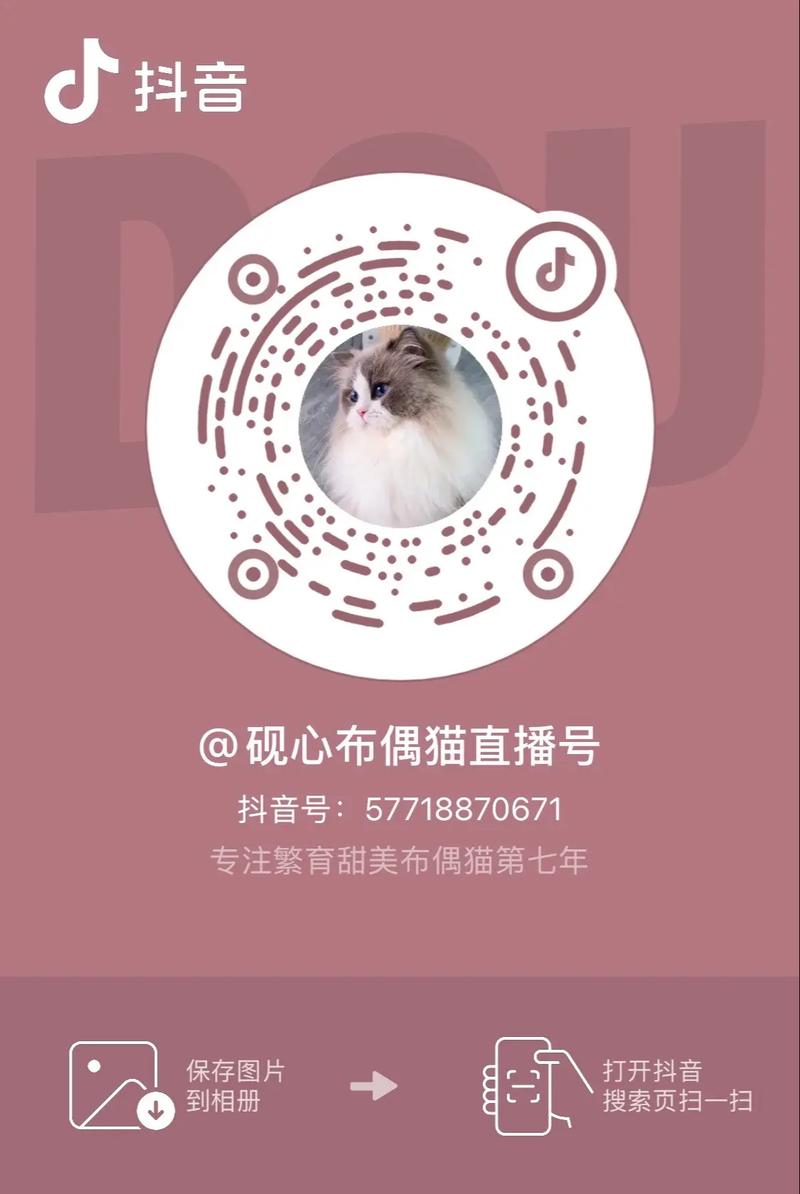 布偶直播下载地址