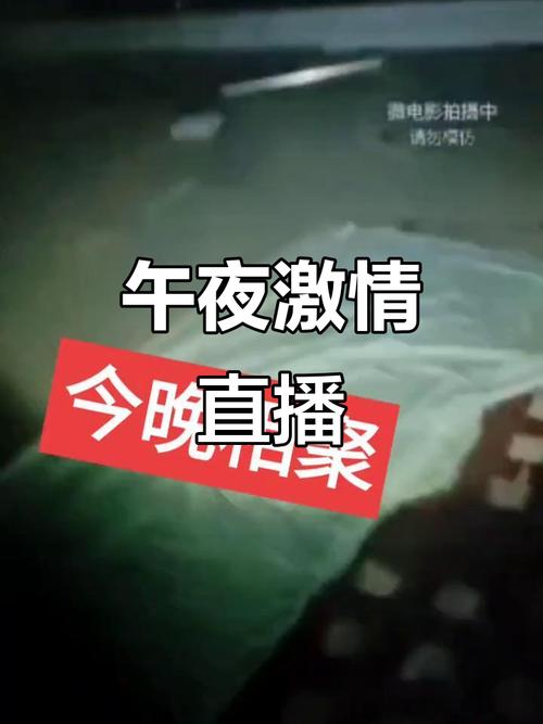夜半直播下载视频