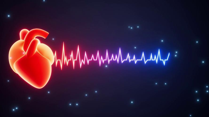 心跳视频下载完整版