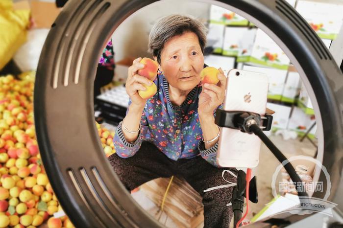 奶奶直播下载地址