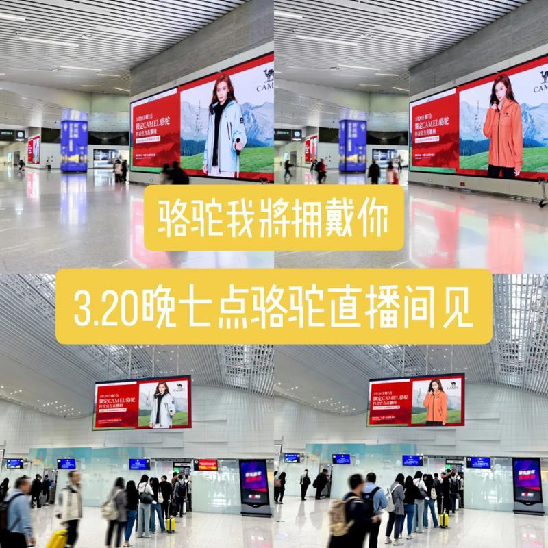 骆驼直播下载地址