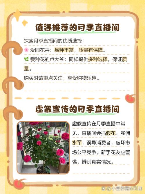 月季直播app下载地址