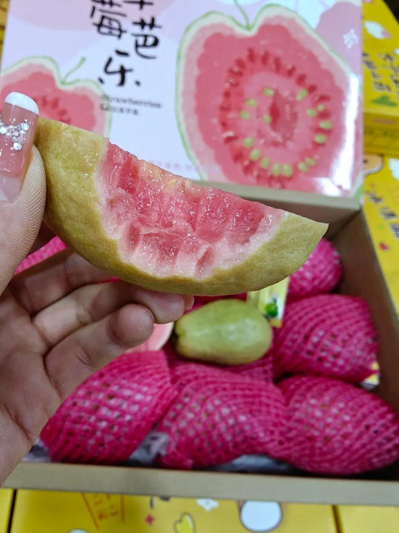 草莓芭乐免费观看版下载