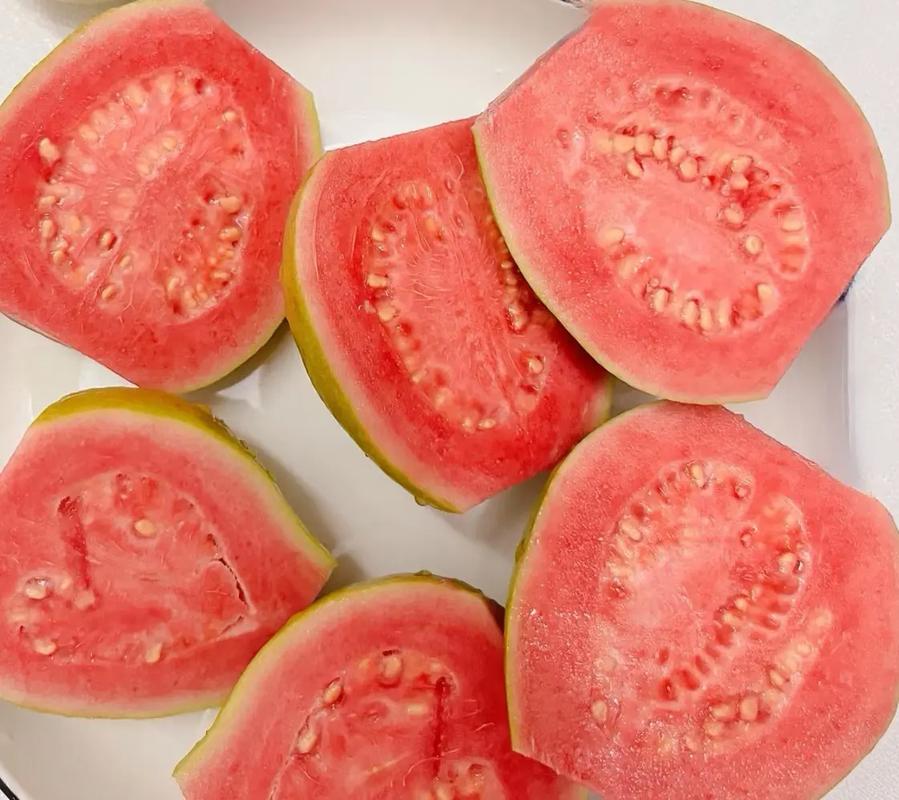 草莓芭乐免费观看版下载免费