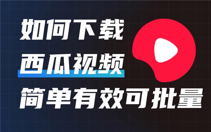 西瓜秀场app官方版