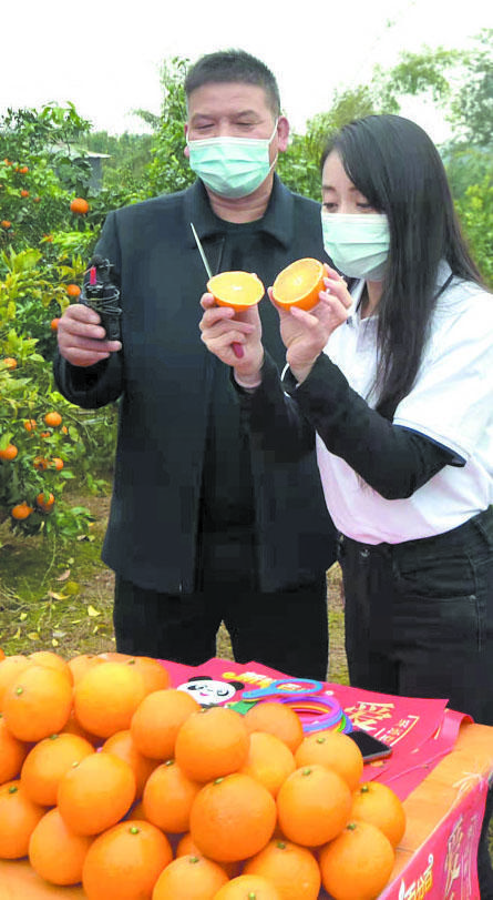 橘子直播视频下载安装截图