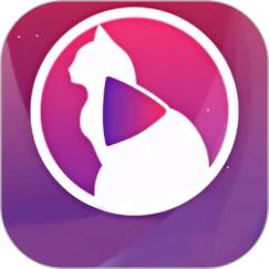 猫咪直播手机版下载 v1.8.23安卓版2026软件