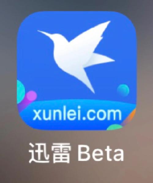 迅雷直播下载2026破解版软件