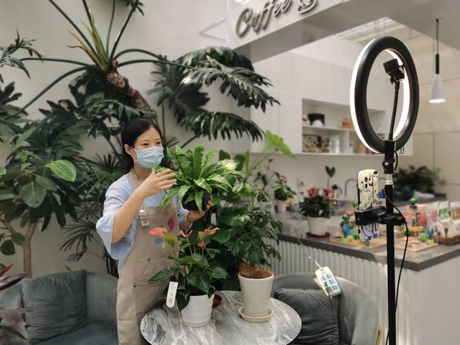 花样直播最新版2026