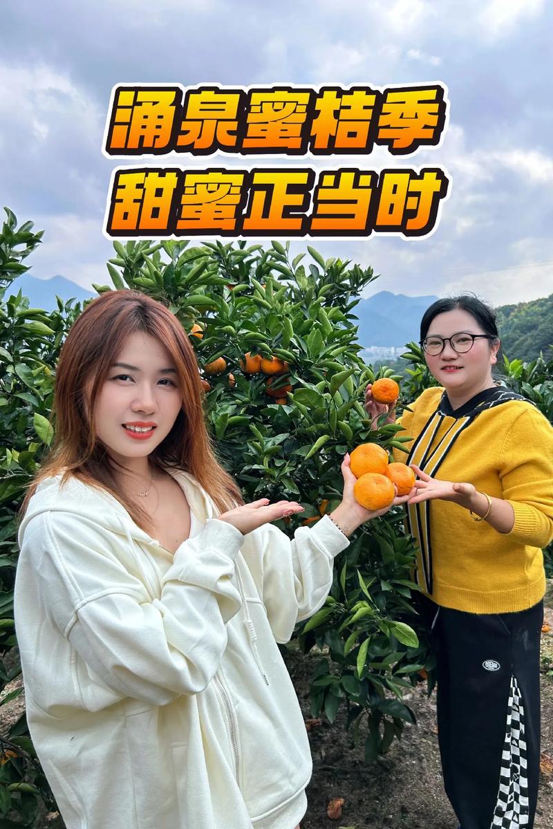 蜜桔直播最新版2026截图