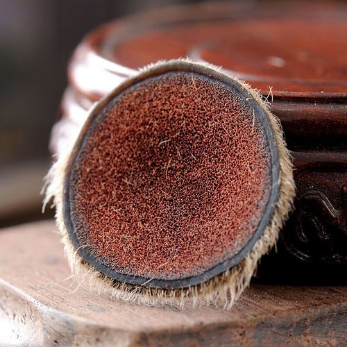 花色堂视频最新版软件
