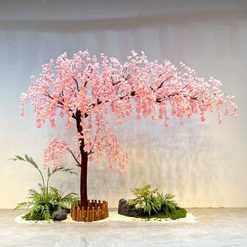 樱花树直播app下载安装
