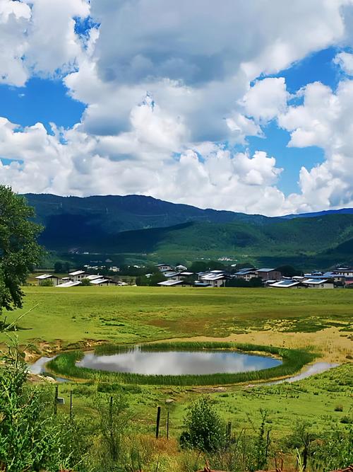 香格里拉下载2026最新
