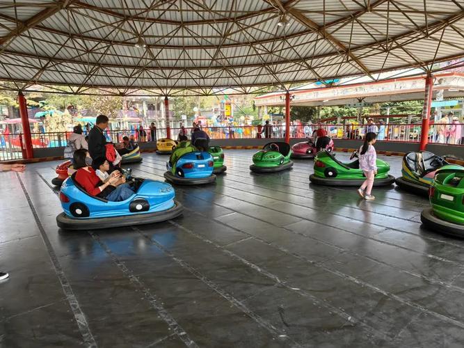 疯狂碰碰车2026最新
