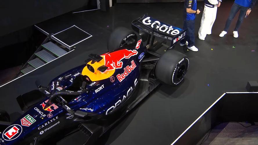 动物赛车2026最新
