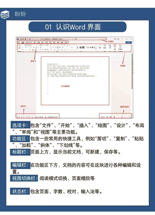 word视频教程下载2026最新
