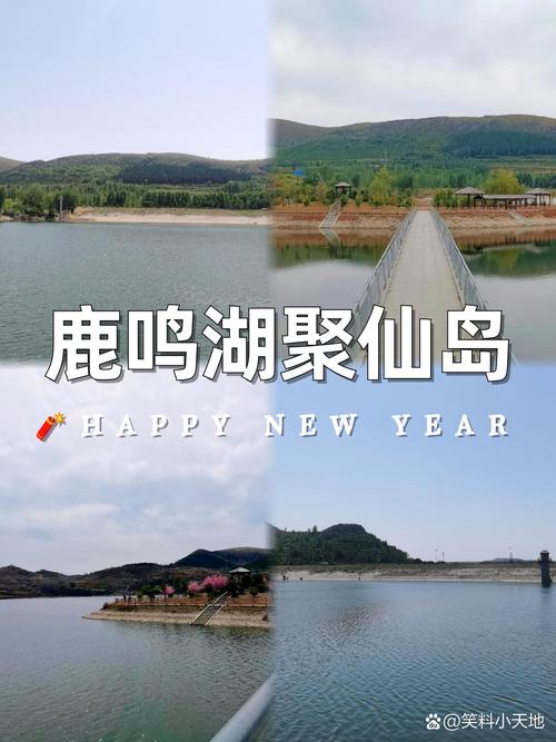 聚仙好玩吗2026最新
