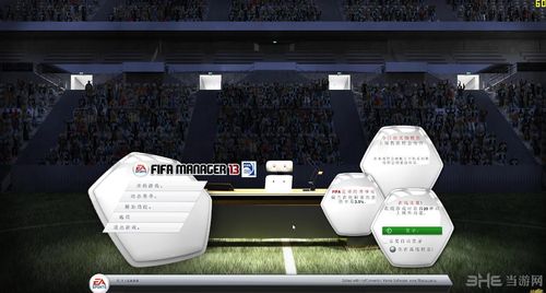 fifa13汉化补丁
截图