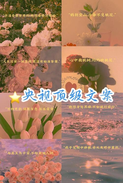 顶尖文案网2026最新
