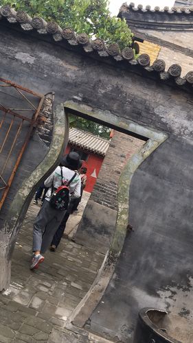 酒瓶门下载2026最新
