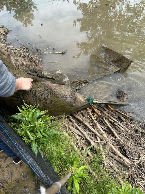 捉鱼手机网2026最新
