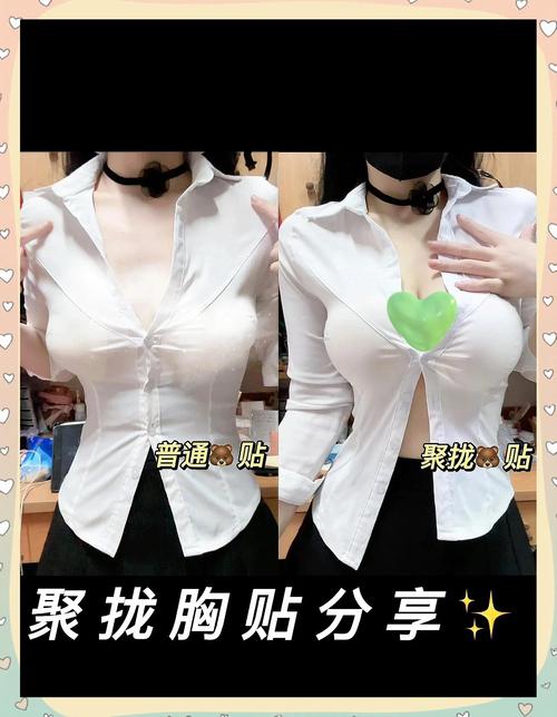 乳贴姬2026最新
