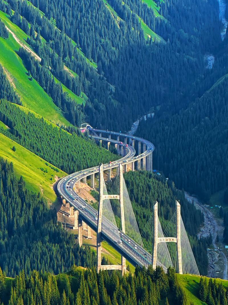 伊犁绿河谷网2026最新
