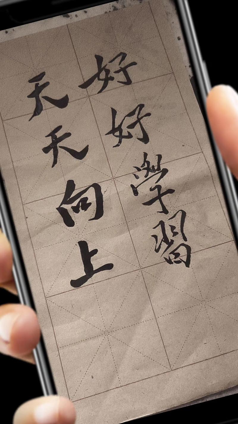 天天向上学习网2026最新
