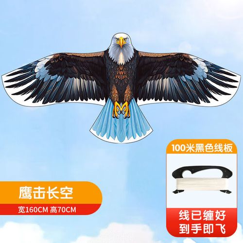 鹰击长空中文补丁2026最新
截图