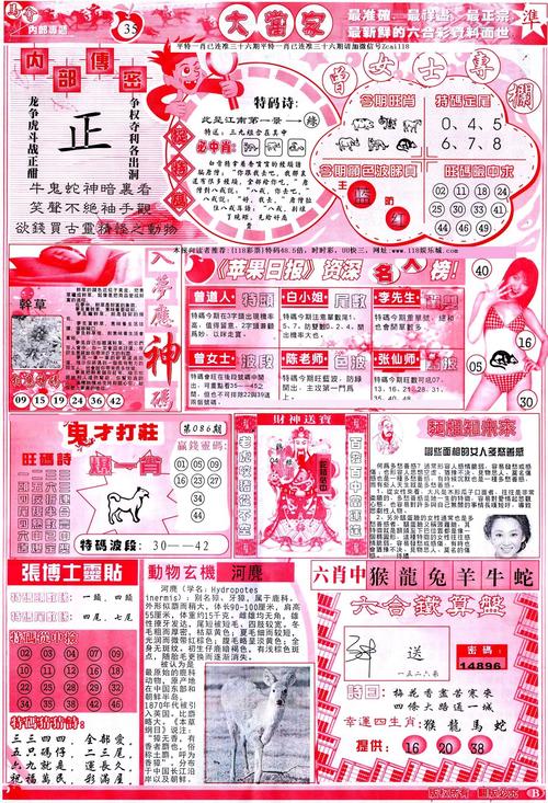 大当家网2026最新
