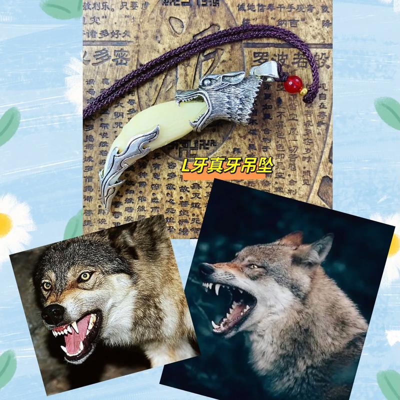 狼牙下载2026最新
