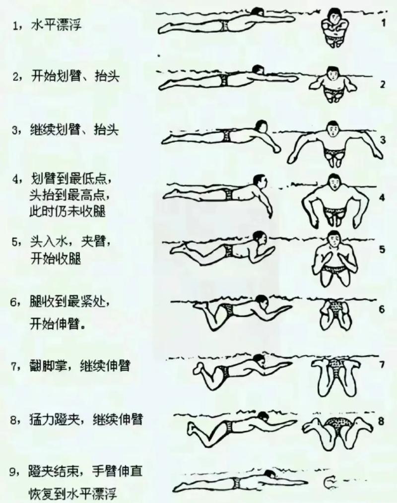 游泳教程下载
截图