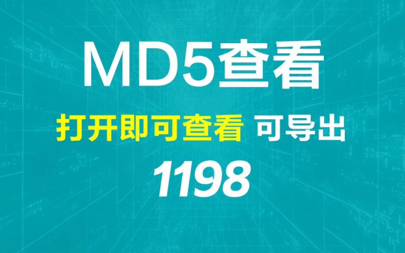 md5查看器2026最新
