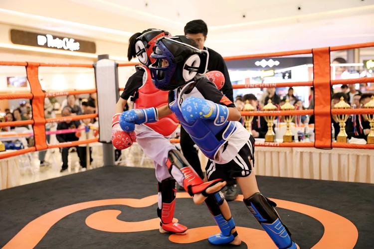 小小格斗62026最新
