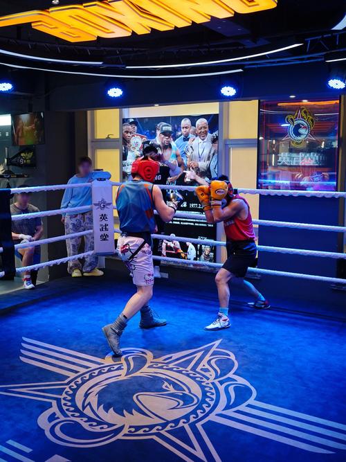 真实拳击存档2026最新
