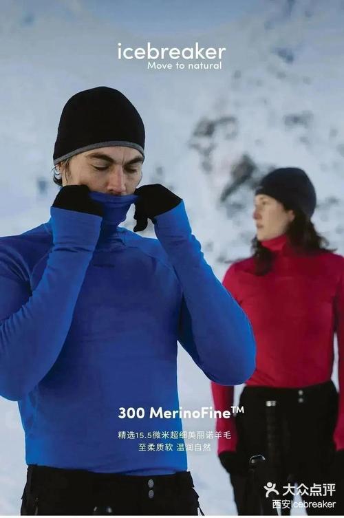 iceword2026最新
截图