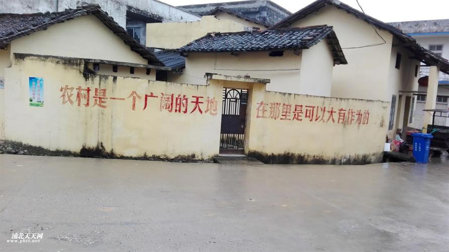 广西浦北天天网2026最新
