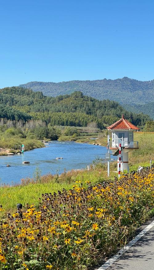 伊春旅游网2026最新
