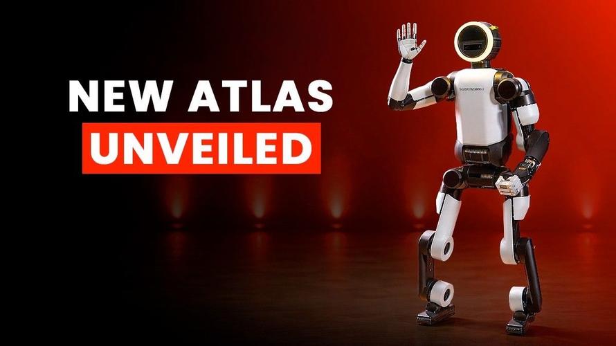 疯狂机器人2026最新
截图